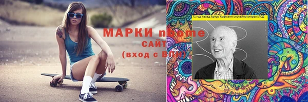 прущий лед Алзамай
