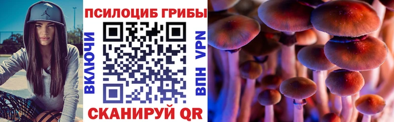 kraken ТОР  Нефтеюганск  Галлюциногенные грибы Magic Shrooms  продажа наркотиков 
