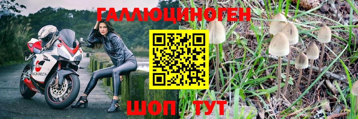 Галлюциногенные грибы Psilocybe Нефтеюганск